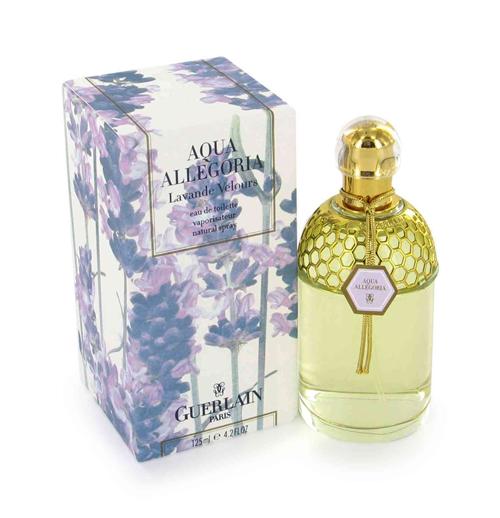 Aqua Allegoria Lavande Velours perfume image
