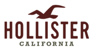 Hollister logo