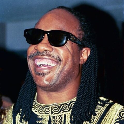 Stevie Wonder