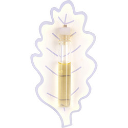Ines de la Fressange (Sample) perfume image