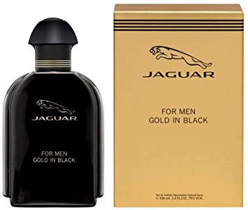Gold In Black perfume image